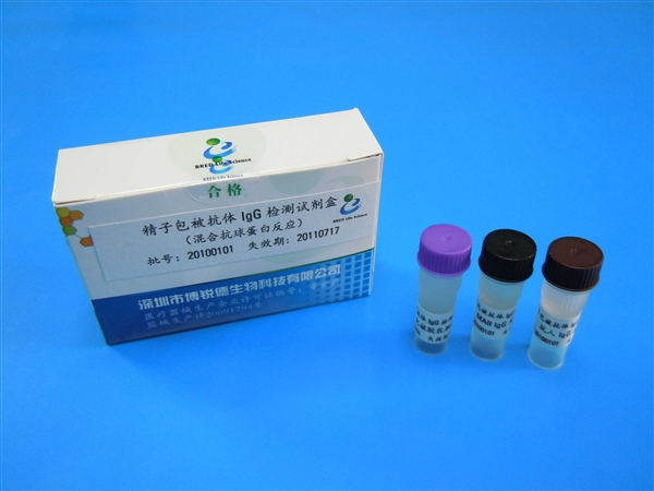 SpermFunc®MAR IgG 精子膜表面抗体IgG检测试剂盒（MAR）